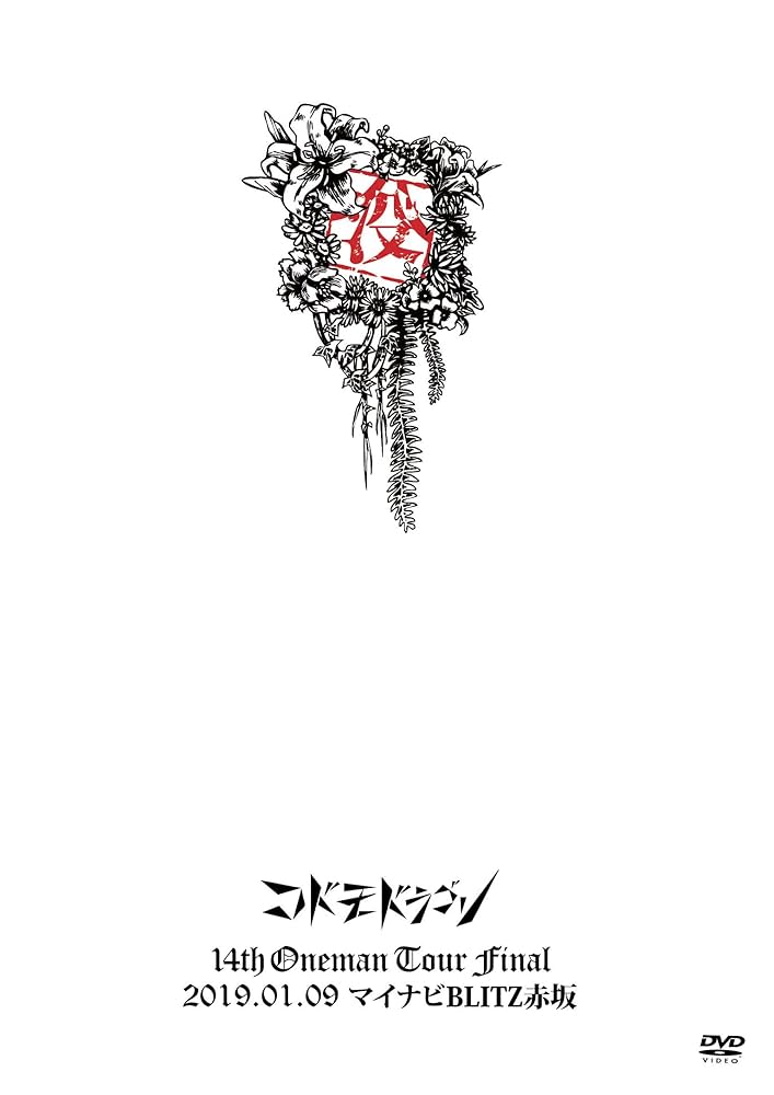 コドモドラゴン 購入特典 DVD コドモドラゴン ライブ ドキュメント 特典 DVD DISCOGRAPHY